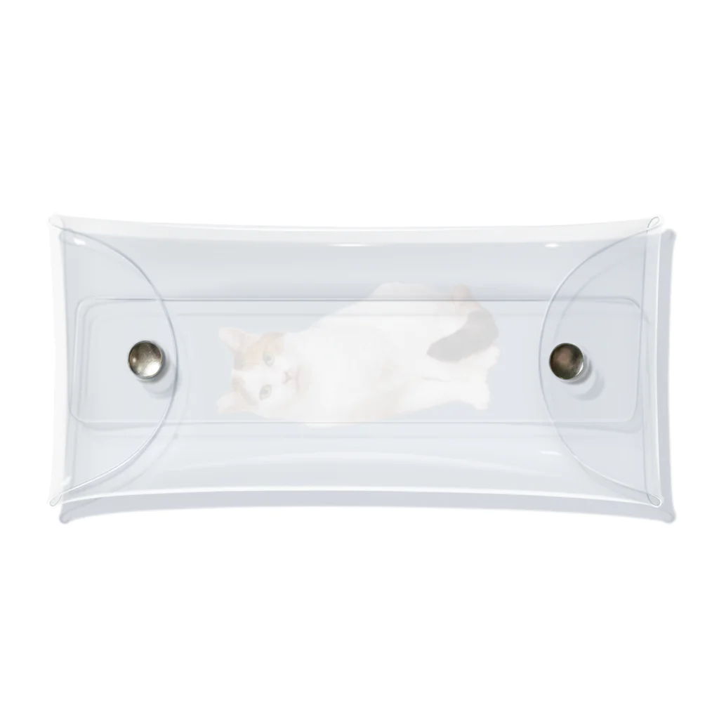 うちの猫ら　2号店のミケ子 Clear Multipurpose Case