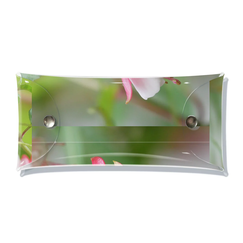 花染めの箱庭のフクシア“ペパーミント・キャンディ” クリアマルチケース