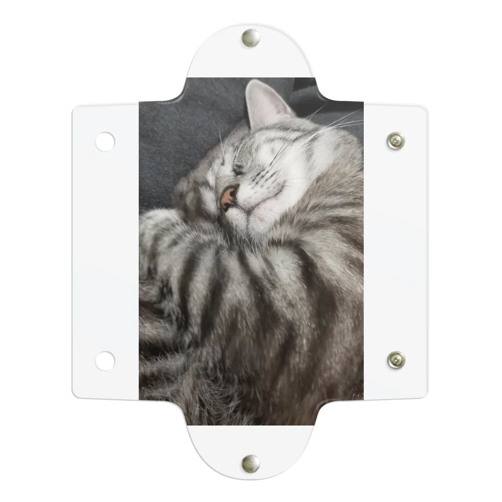 Grayのふてぶてしい猫です｡ Clear Multipurpose Case