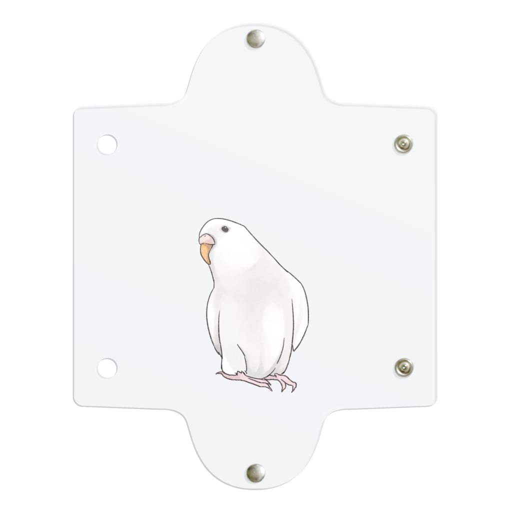 アルビノセキセイインコちゃん まめるりはことり まめるりはことり Mamelurihakotori のクリアマルチケース通販 Suzuri スズリ アルビノセキセイインコちゃん まめるりはことり まめるりはことり Mamelurihakotori のクリアマルチケース通販 Suzuri スズリ