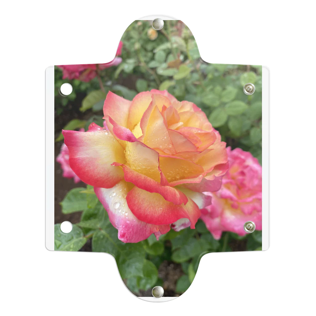 しおはおの艶やかな薔薇 Clear Multipurpose Case