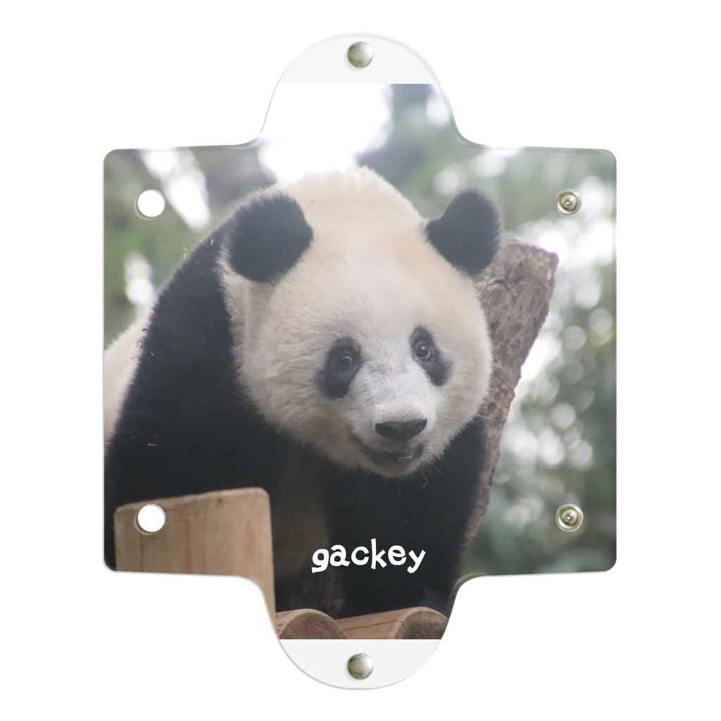 gackeyのおはなし PANDA クリアマルチケース