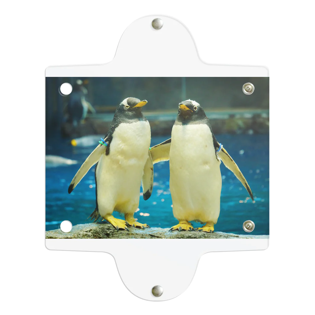 ペンギンの写真のジェンツーペンギン　写真　リアル　仲良し Clear Multipurpose Case