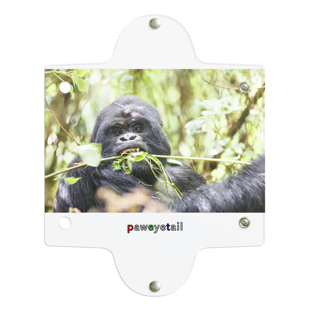 paweyetailの会長:  御利良野 光 (Ray Gorilla Beringei) クリアマルチケース