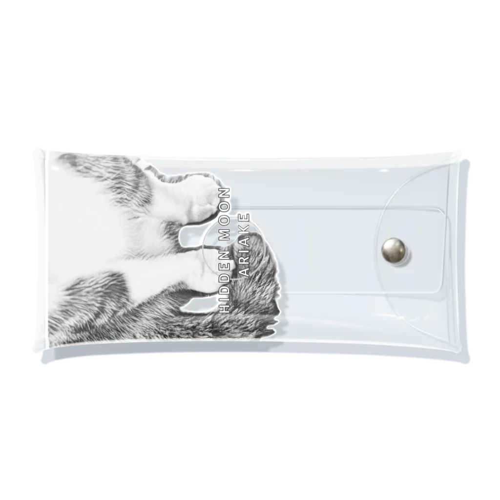 HIDDEN MOON-ARIAKEの16 Clear Multipurpose Case