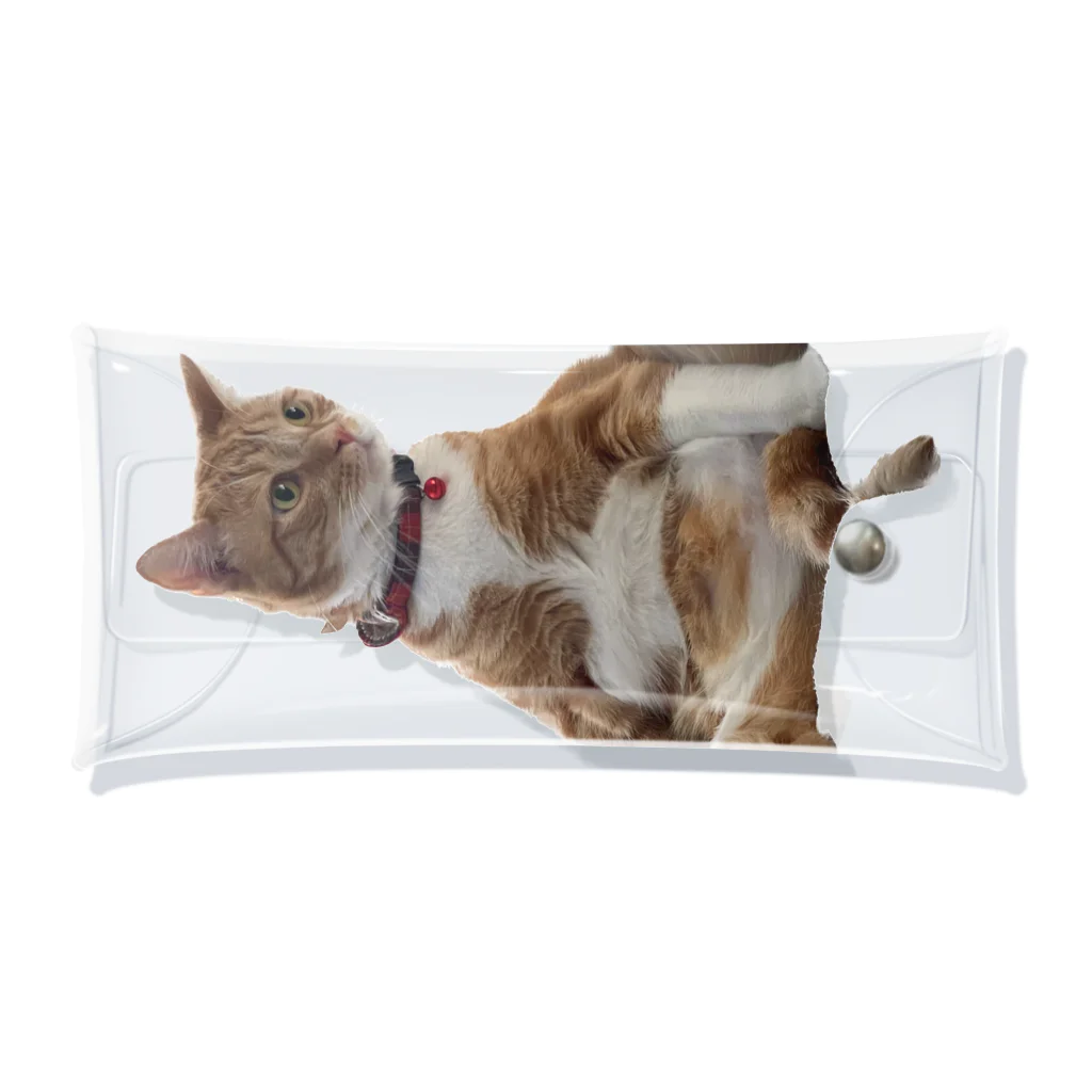 いくママ 猫との毎日のドスコイ春馬 Clear Multipurpose Case