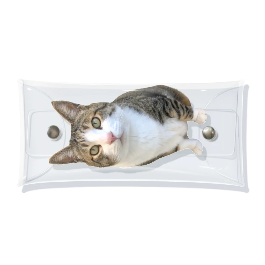 ねこぽてちのポテチくん Clear Multipurpose Case