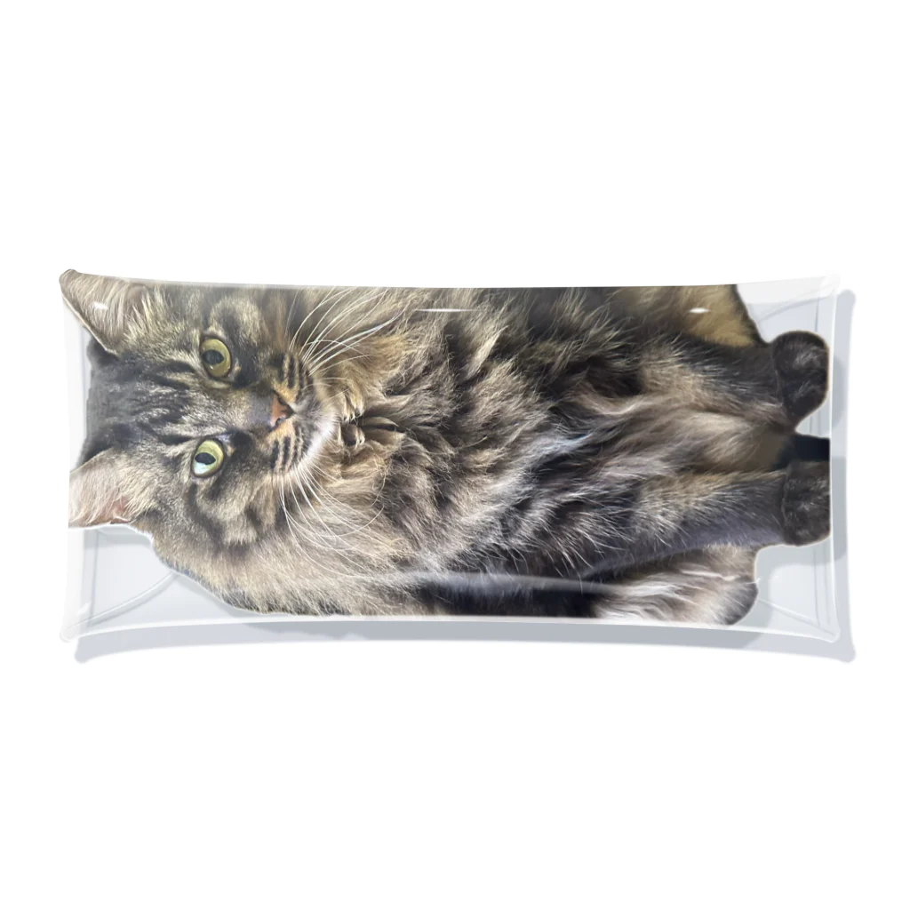 猫和尚のＴシャツ屋さんの源三8.5kg Clear Multipurpose Case