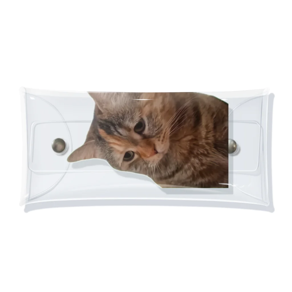 猫ミームグッズの【猫ミーム】叱られる猫 Clear Multipurpose Case