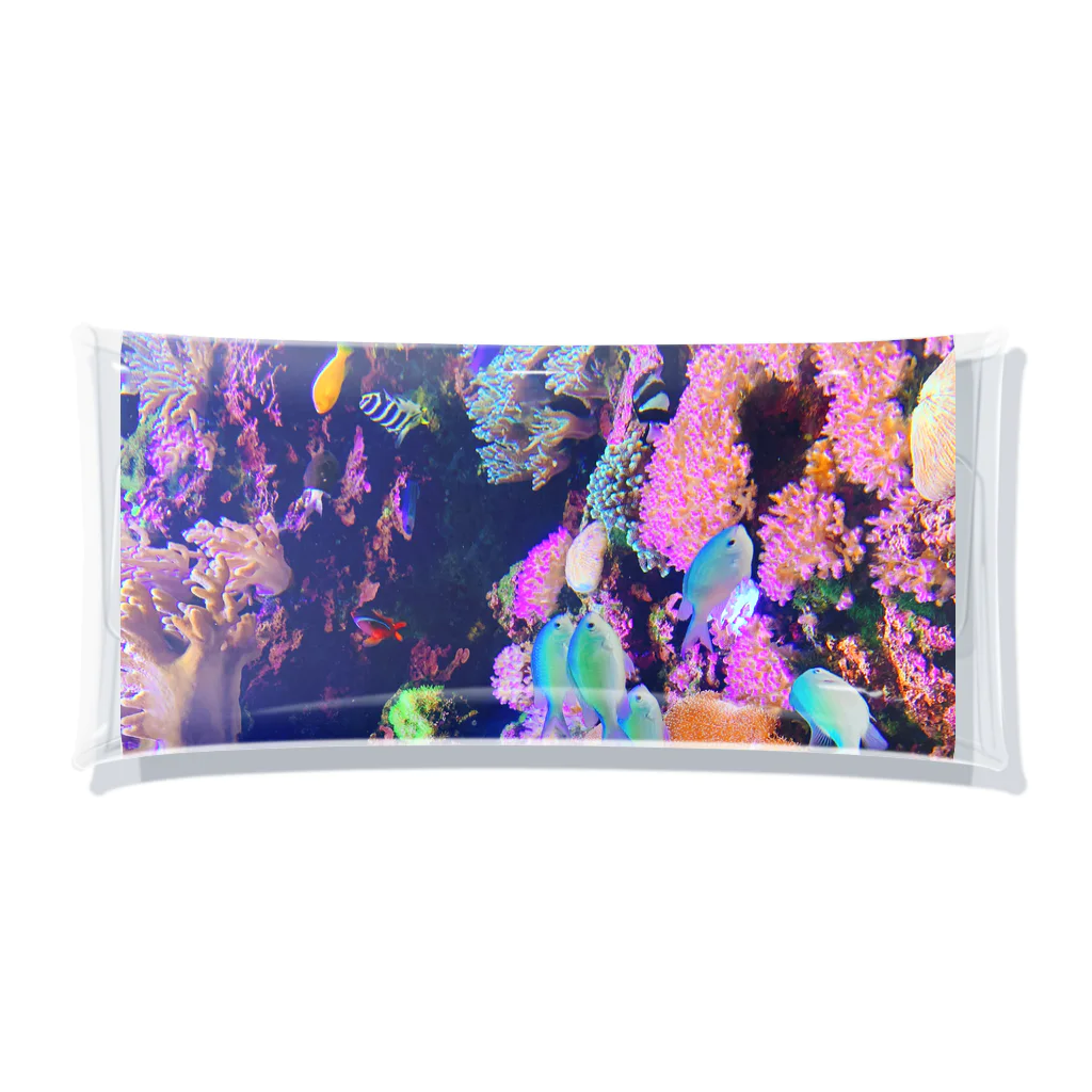 ka-----naのAquarium Clear Multipurpose Case