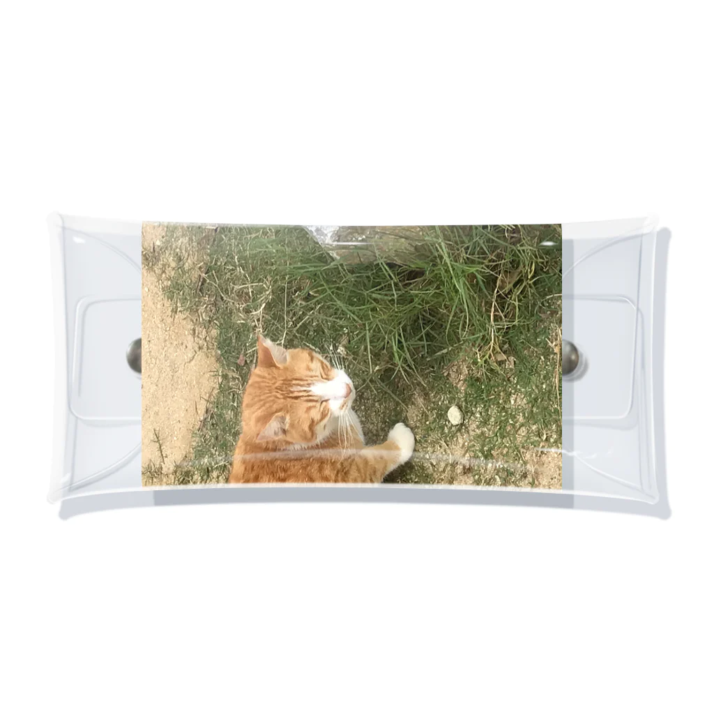 高橋の沖縄の野良猫 クリアマルチケース
