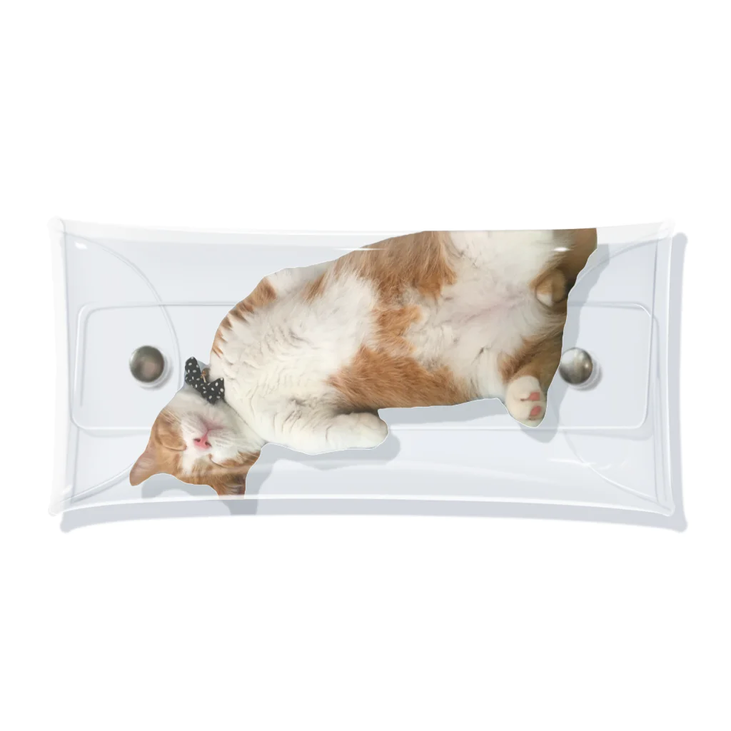 どりの店の短足マンチカン  どり🐱 Clear Multipurpose Case