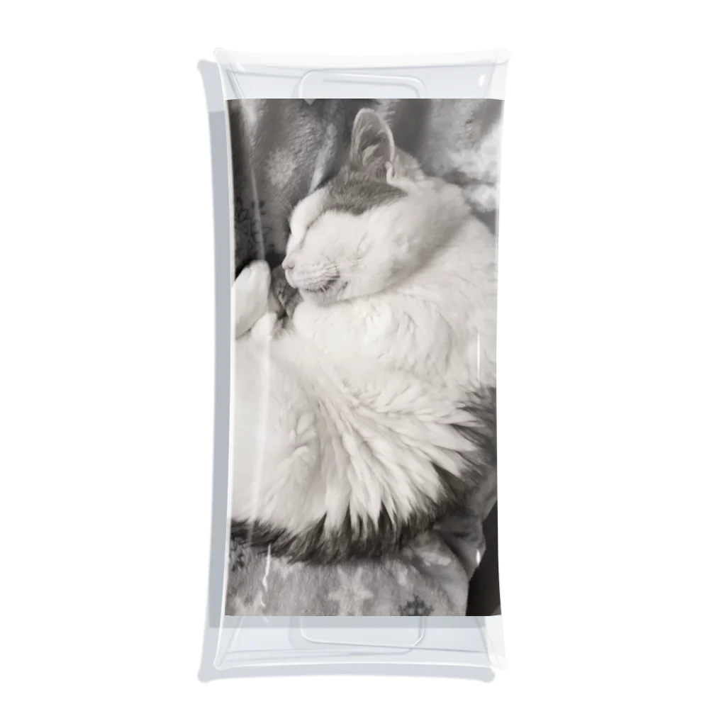 KAZU SHOPの可愛い猫のお昼寝　癒し Clear Multipurpose Case