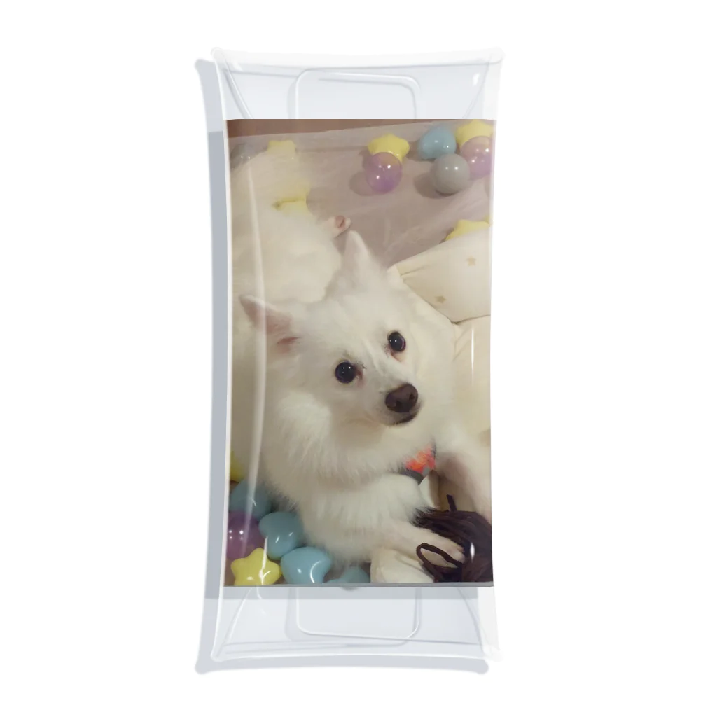 MIPA♥の愛犬パールグッズ　Mipa♥日本スピッツ Clear Multipurpose Case