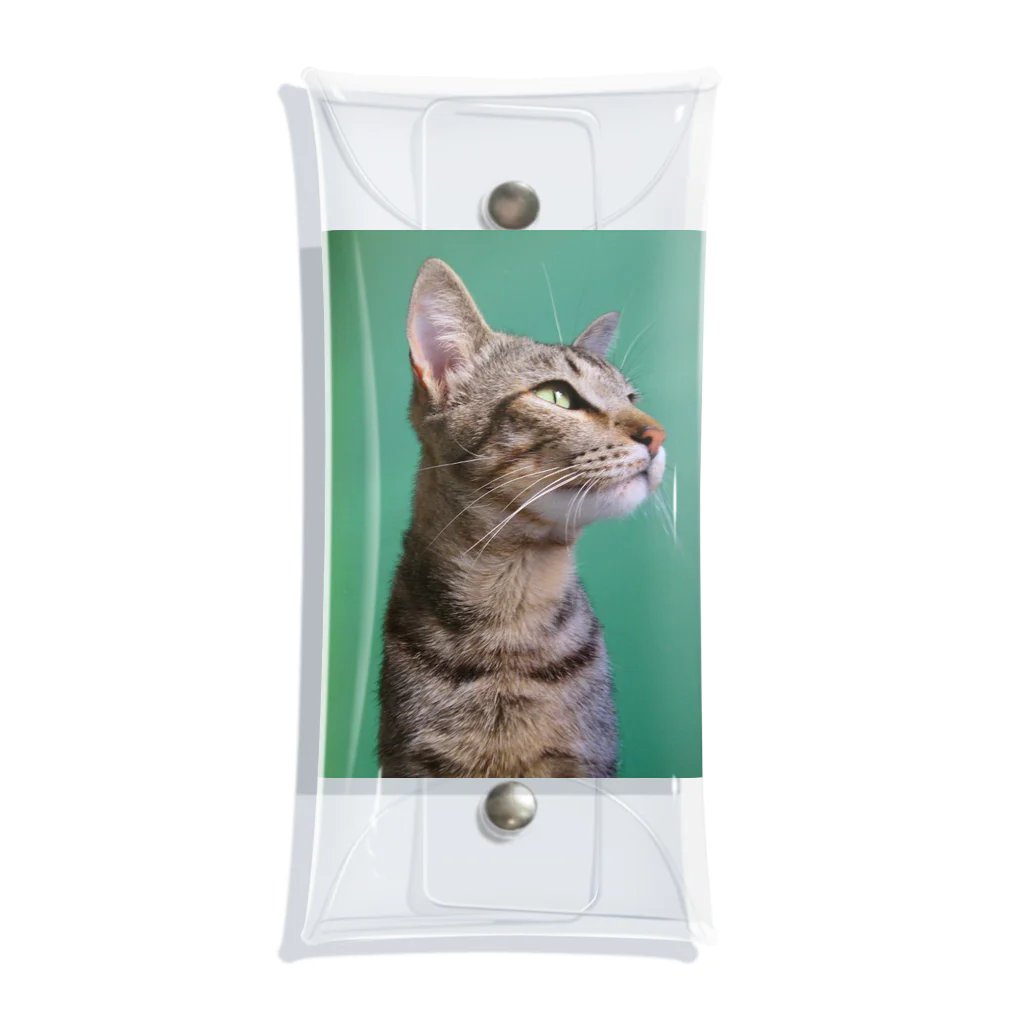 PriscilaGlassesの愛猫　タビー Clear Multipurpose Case