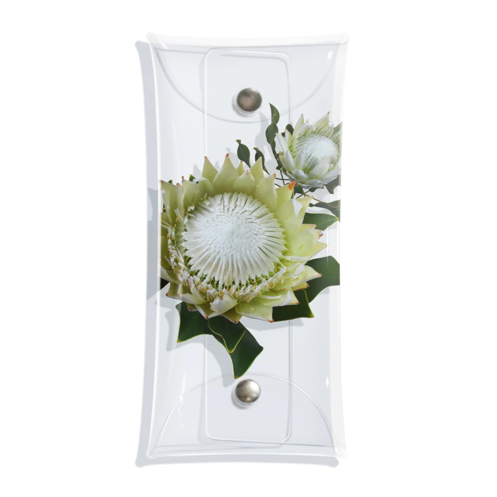 flower & Plants EdenのWild Flower キングプロテア Clear Multipurpose Case