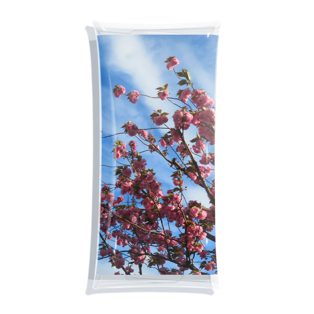 愛自然写真の桜と空と雲 투명 동전 지갑