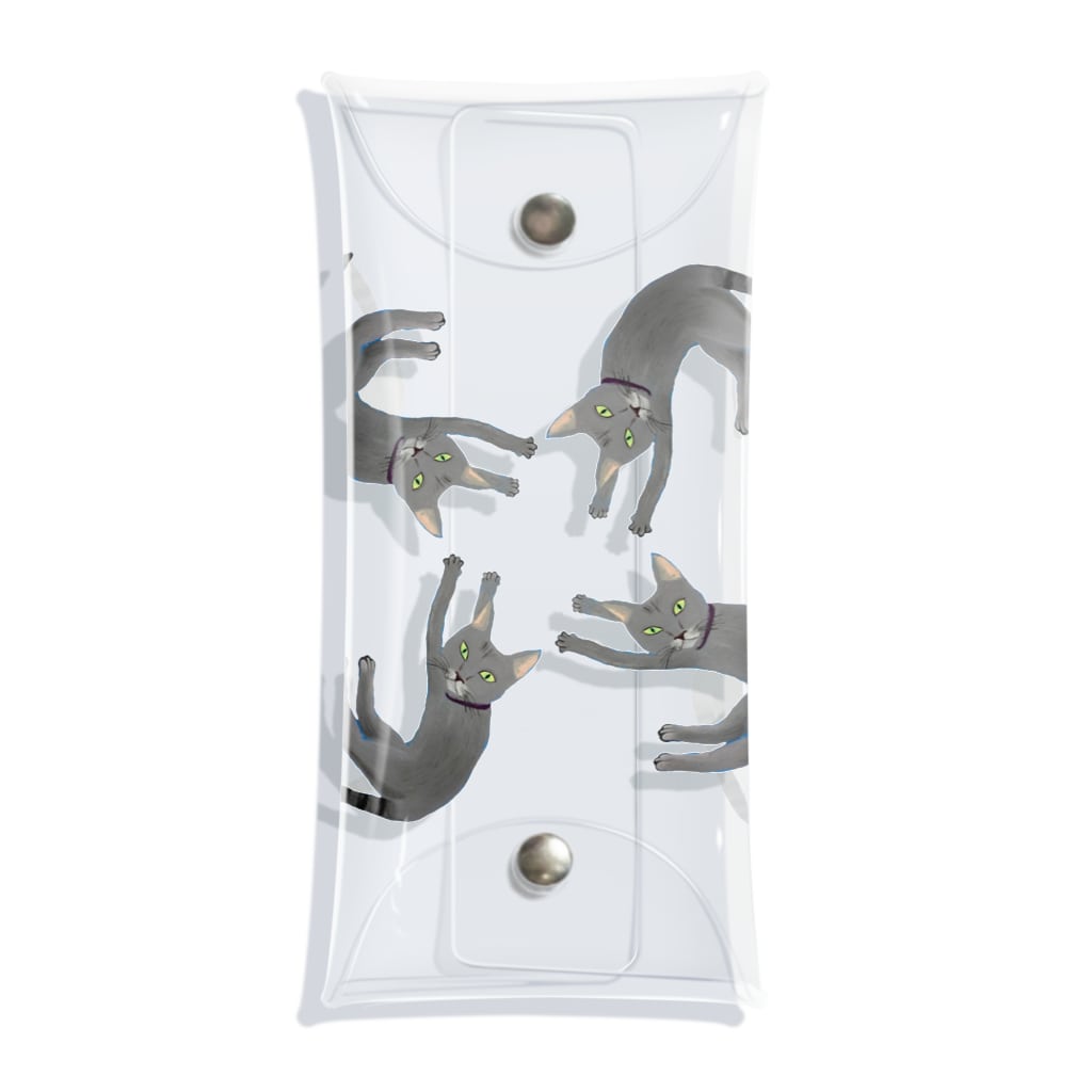 Vermeer-ふぇるめーるのふぇるくん　かざぐるま Clear Multipurpose Case