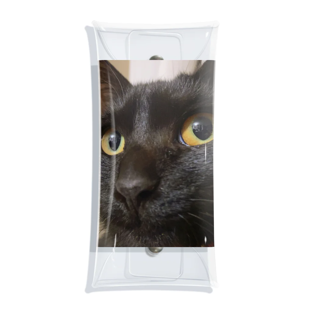 サンサウンドの黒猫天ちゃん Clear Multipurpose Case