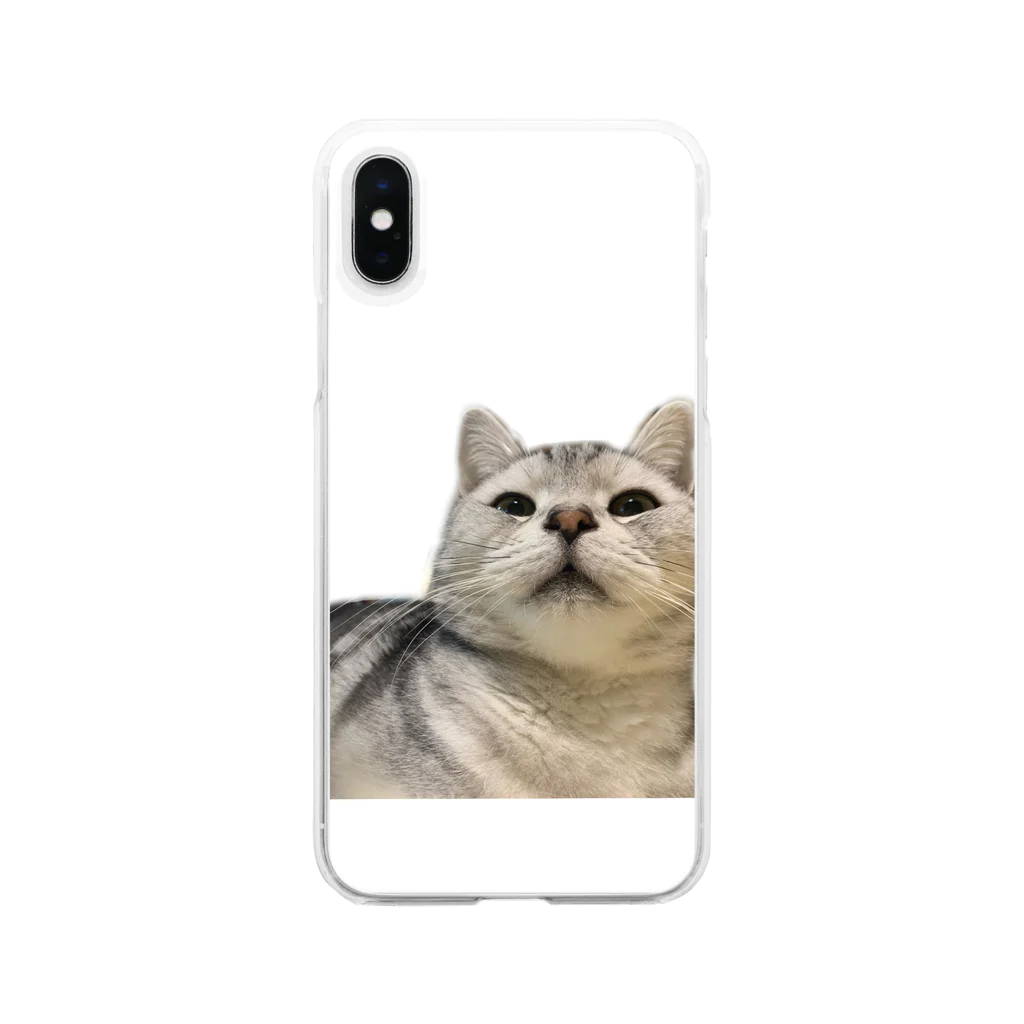 ねこちゃんのごえごえ Clear Smartphone Case