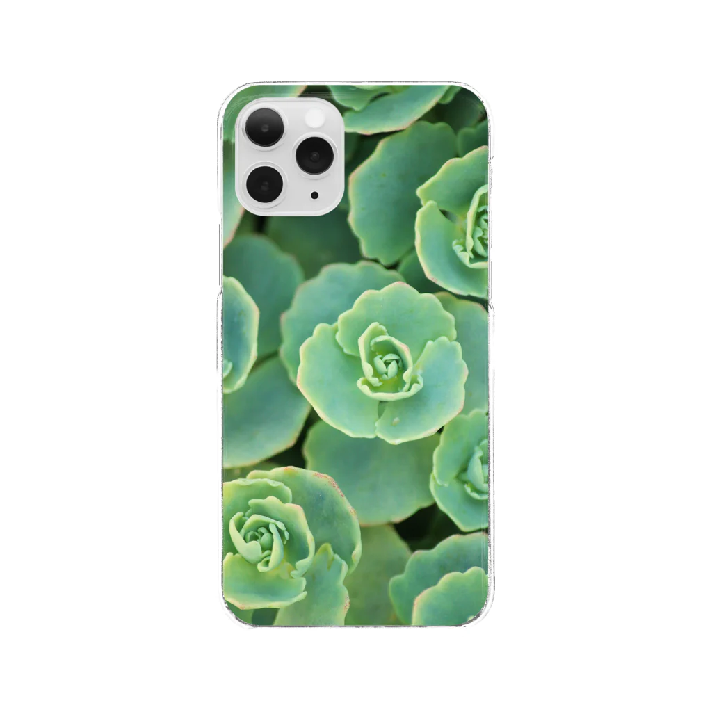 Tabbiesの多肉植物 Clear Smartphone Case