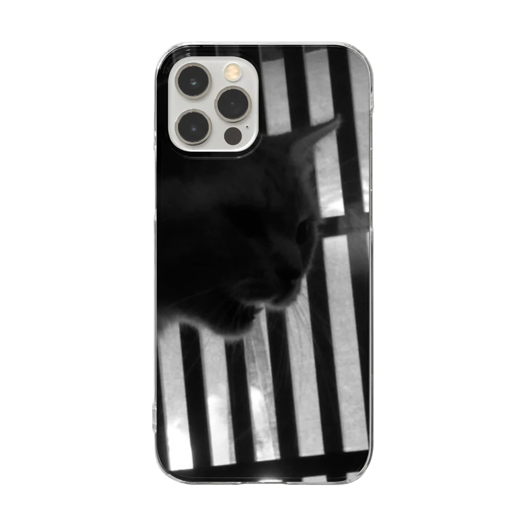 秋刀魚の眼の猫の号令 Clear Smartphone Case