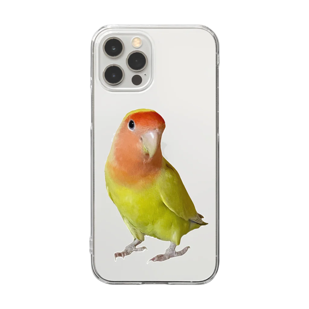 お騒がせインコストーリーのコザクラインコ Clear Smartphone Case