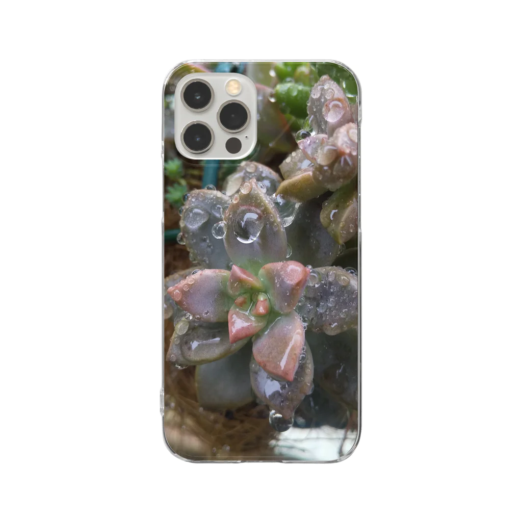 ミクロの雨の中の多肉植物 Clear Smartphone Case