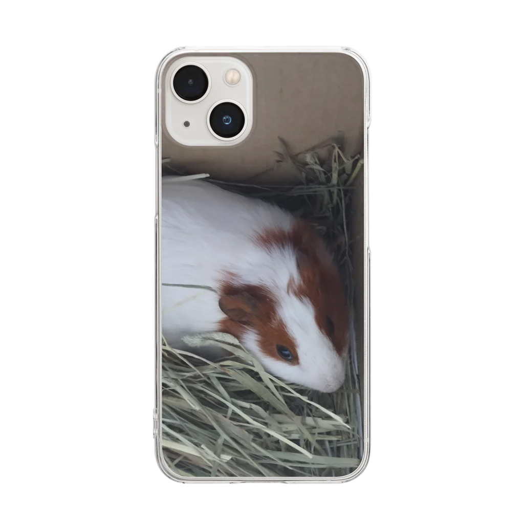 Milkoftheguineapigのモルモットのイヴさん Clear Smartphone Case