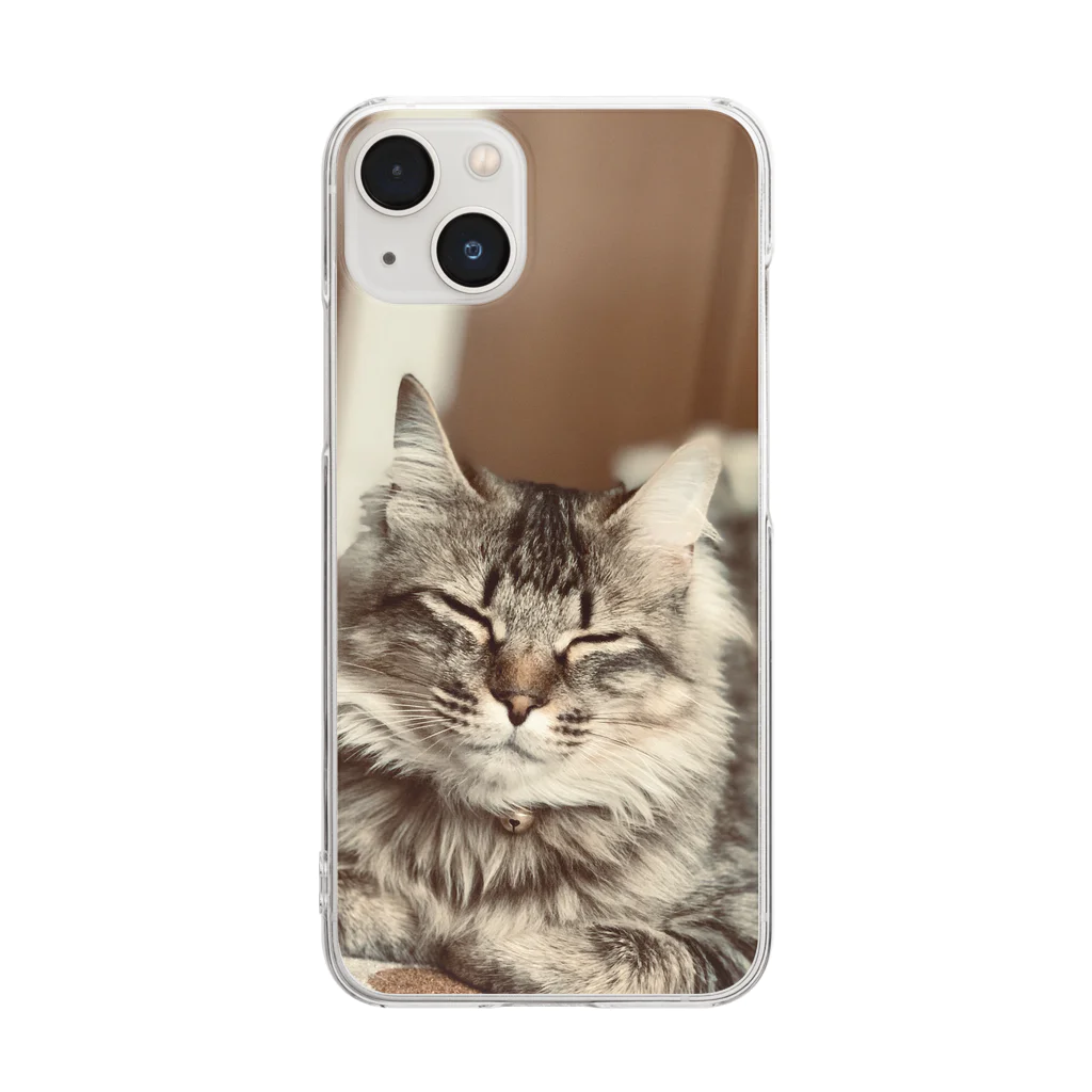 保護猫ファミリーの虎徹コレクション Clear Smartphone Case