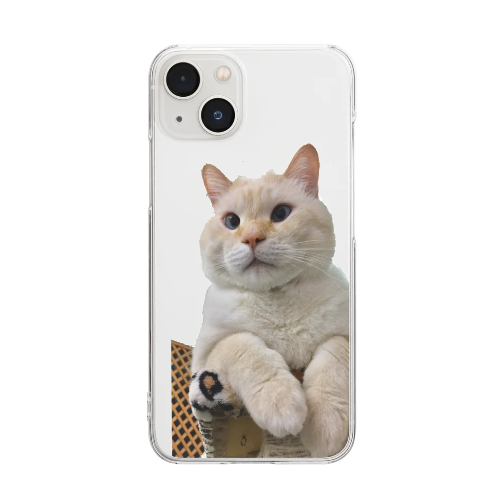 保護猫シェルターおうちにおいで。のむっちゃんAタイプ Clear Smartphone Case