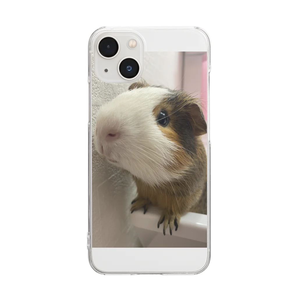 みさぶーやんのうちのぽんきち Clear Smartphone Case