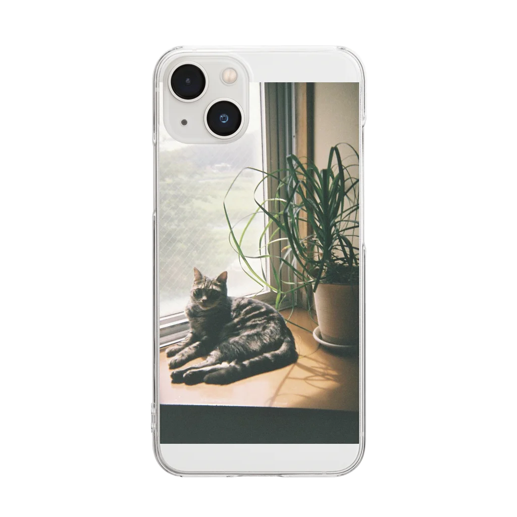 毎日ころりんの猫の写ルンです Clear Smartphone Case