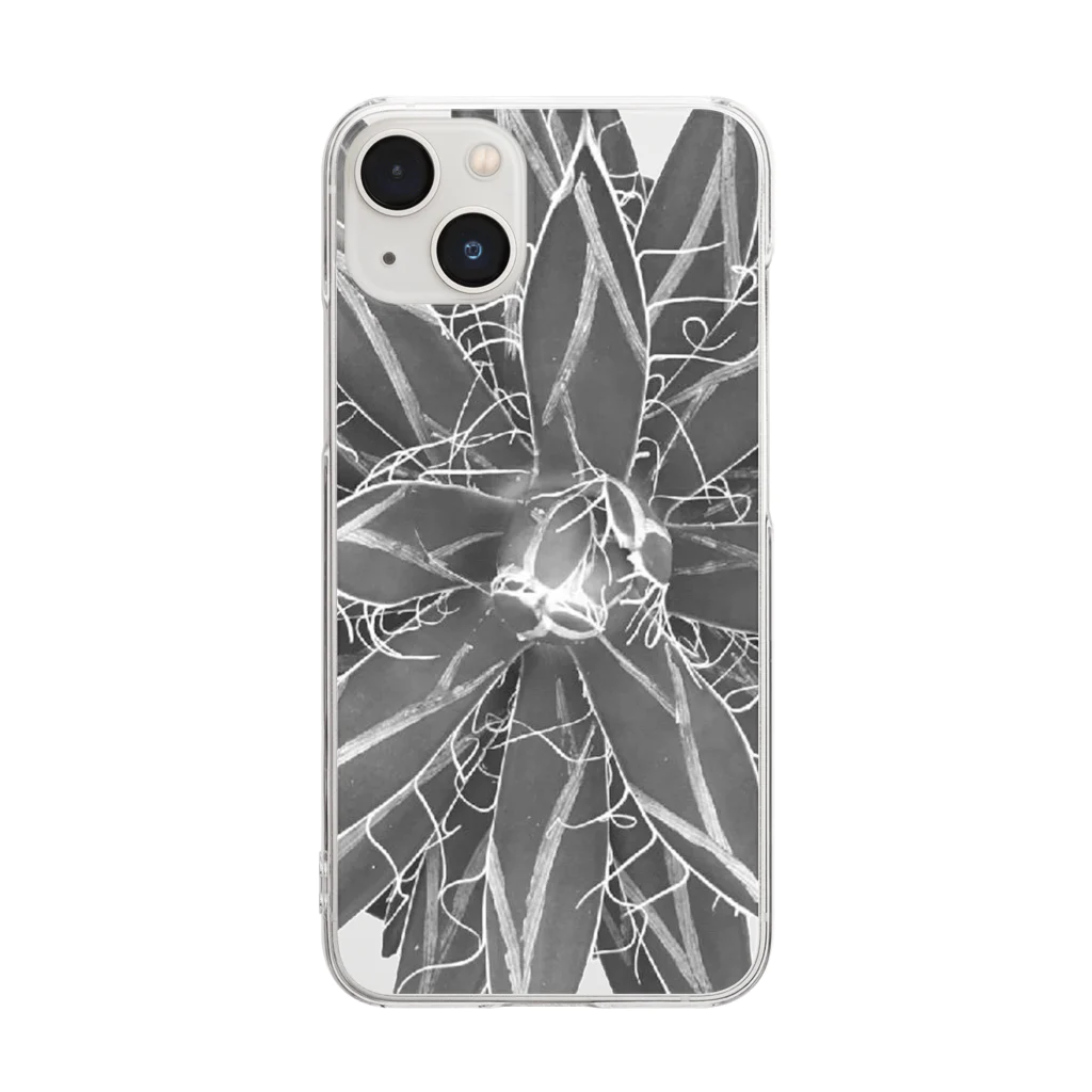 SawtoothのAgave schidigera 'Shira ito no Ohi' Clear Smartphone Case