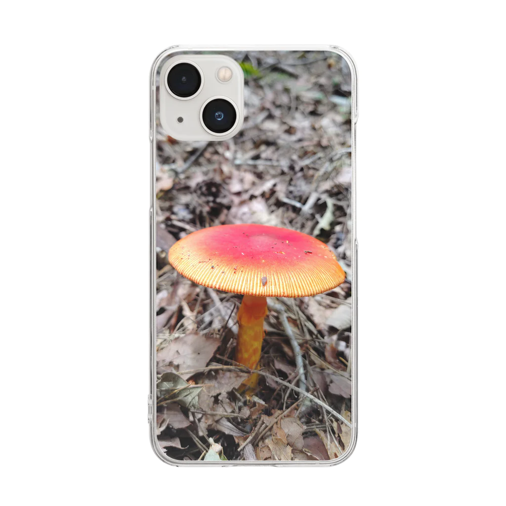 癒やしの力を与えし者の🍄 Clear Smartphone Case