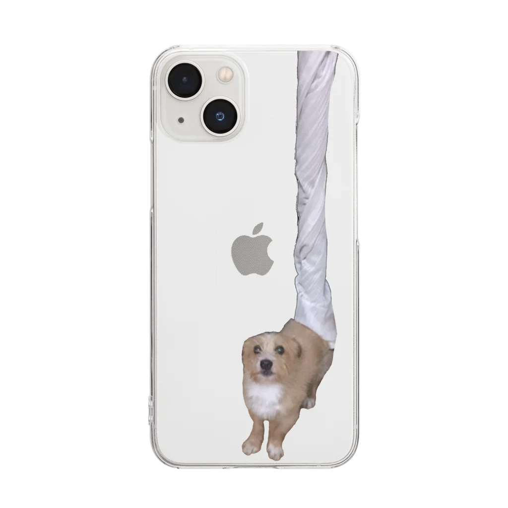 川村さん家の柴犬コロちゃんのカーテンに食べられたそらちゃん Clear Smartphone Case