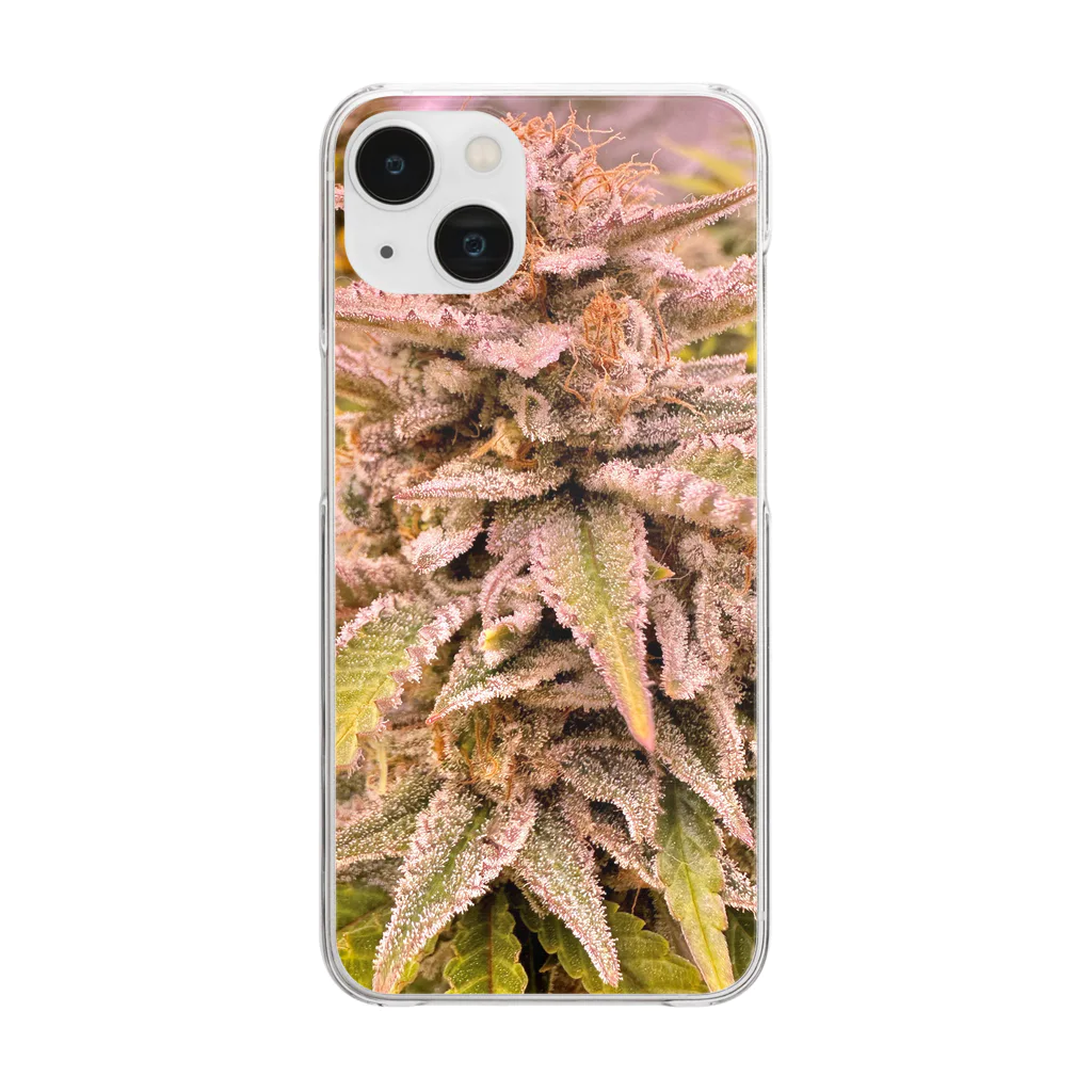 ハッピーストア 420のThe Weed Clear Smartphone Case
