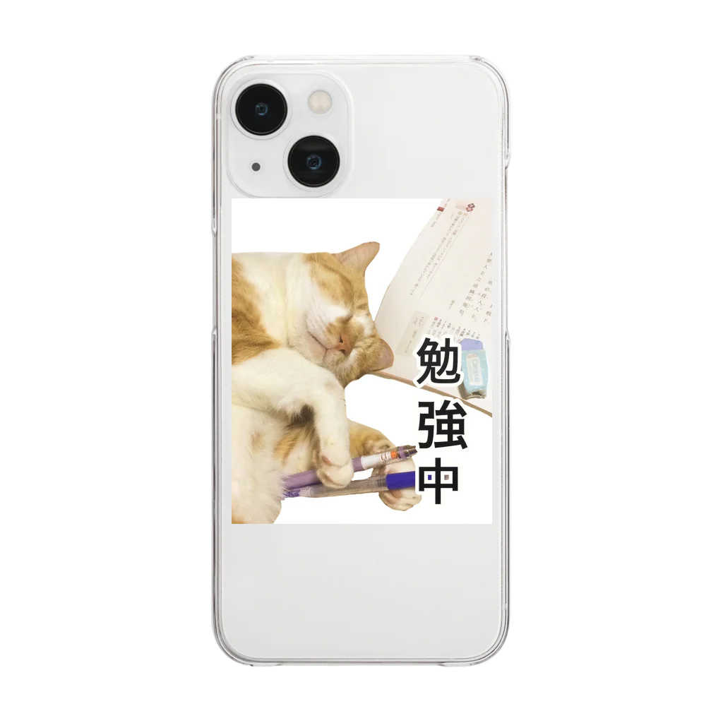 天光のねこ部屋のココアさんはお勉強中(笑) Clear Smartphone Case