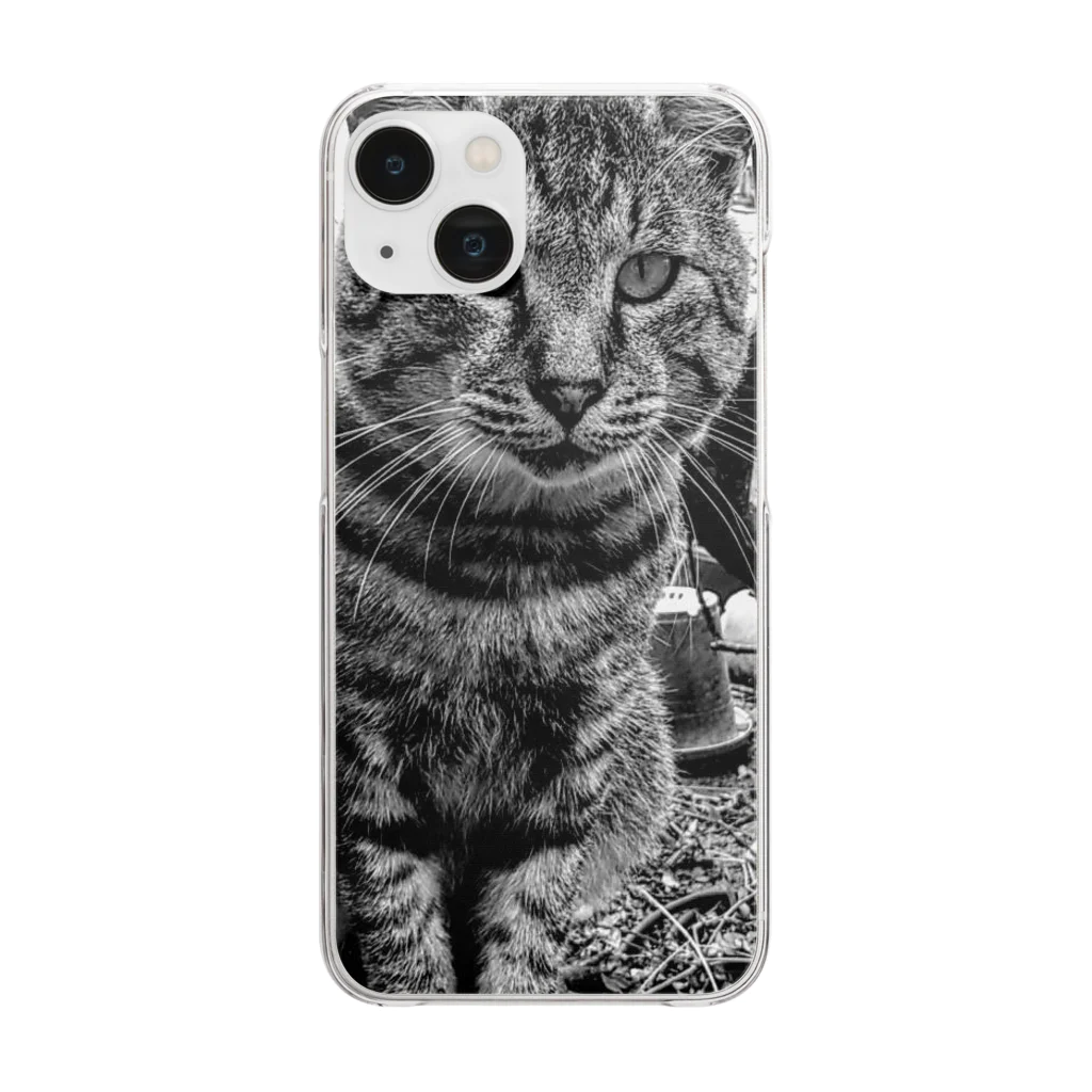 Bohcaの野生的な猫 Clear Smartphone Case