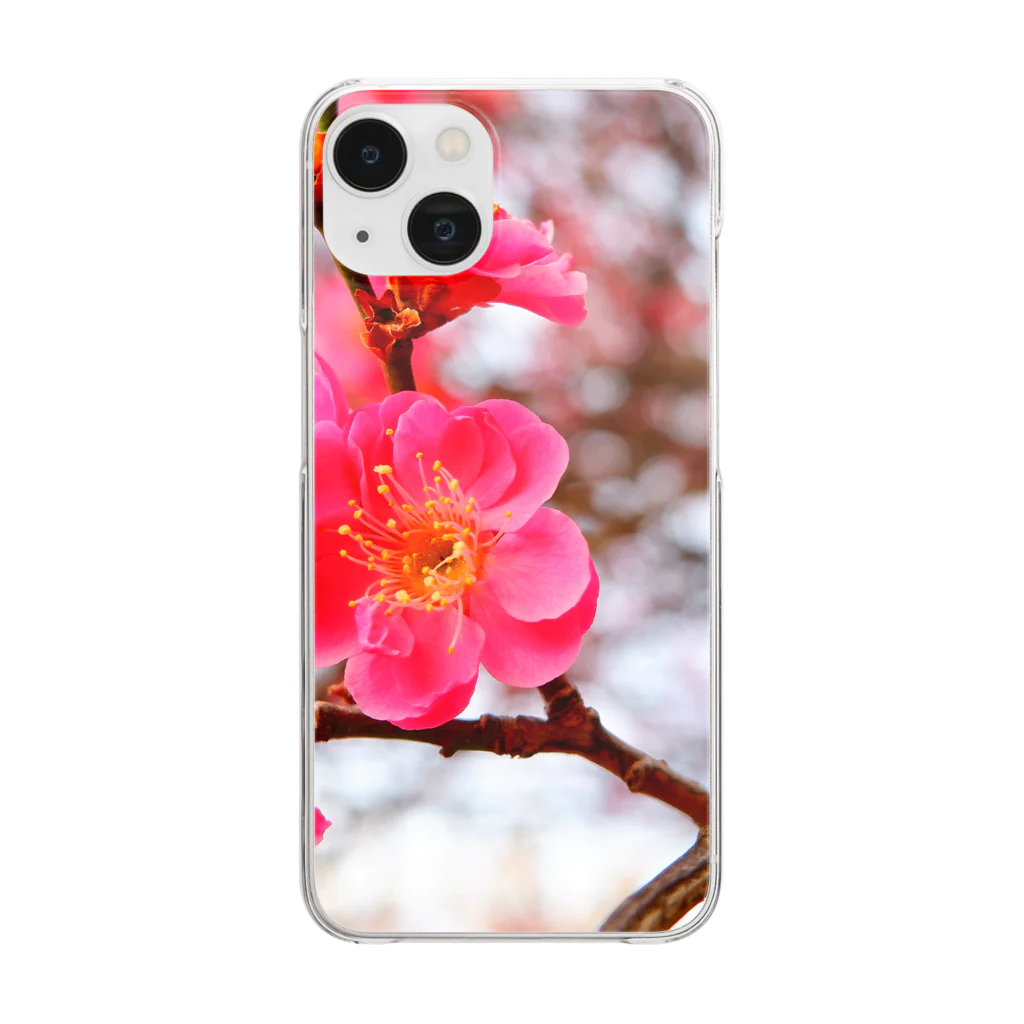 dandelionの紅梅 Clear Smartphone Case