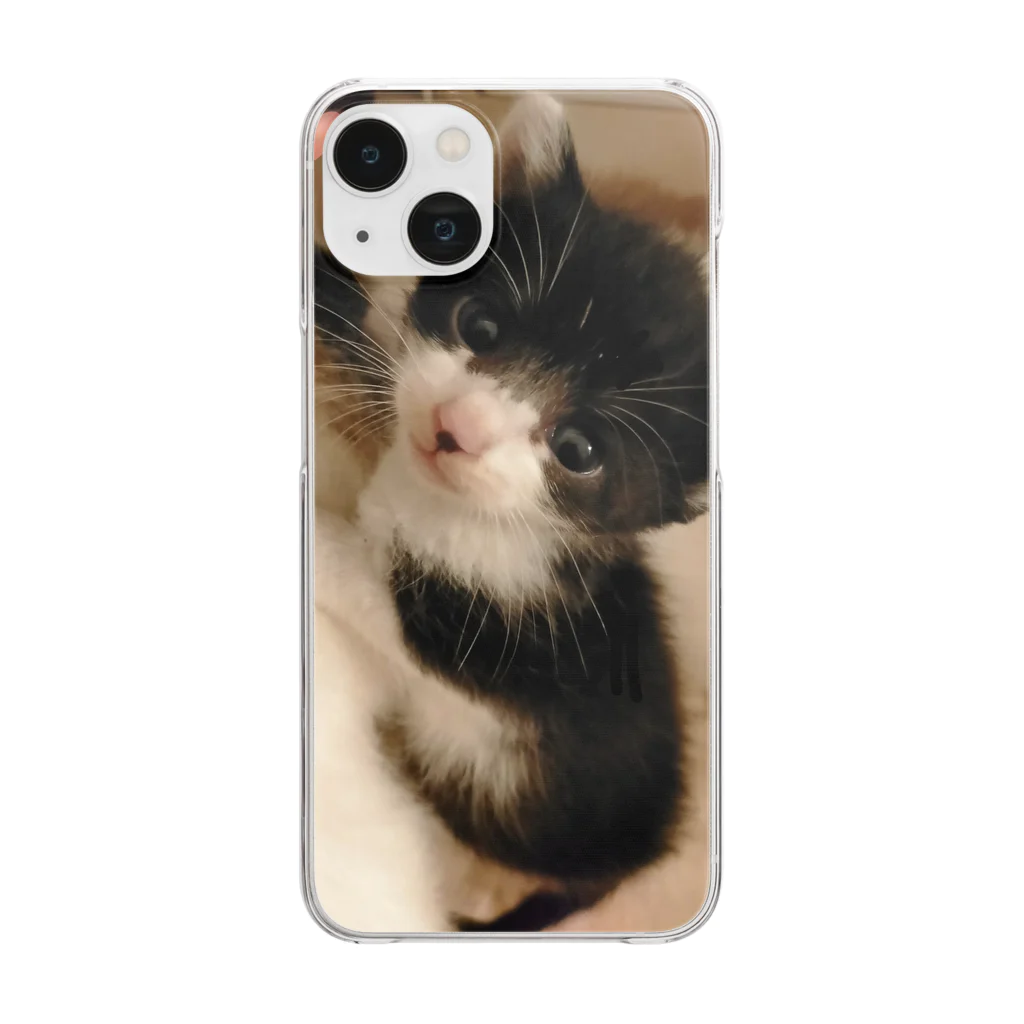 nekousagi*∩..∩の保護猫Pちゃん350ｇちっちゃいね🎀💕 Clear Smartphone Case