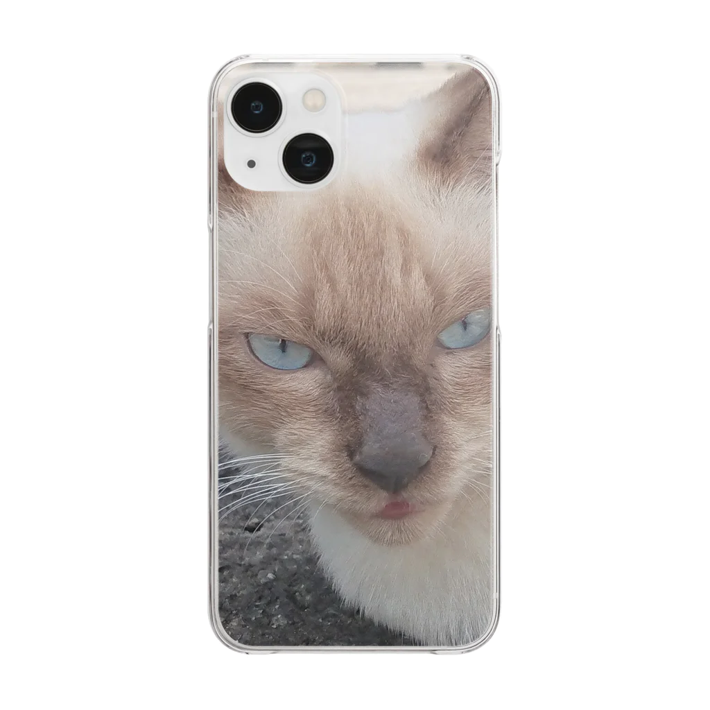 Makoto_Kawano Designの悪そうなのにカワイイ猫ちゃん Clear Smartphone Case