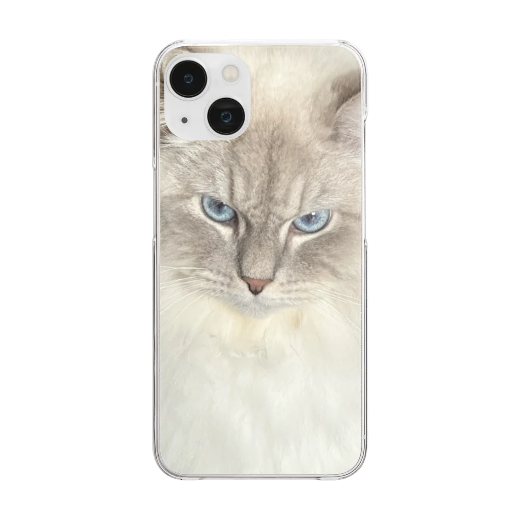 まんまる猫いれぶんのまんまる猫いれぶん Clear Smartphone Case