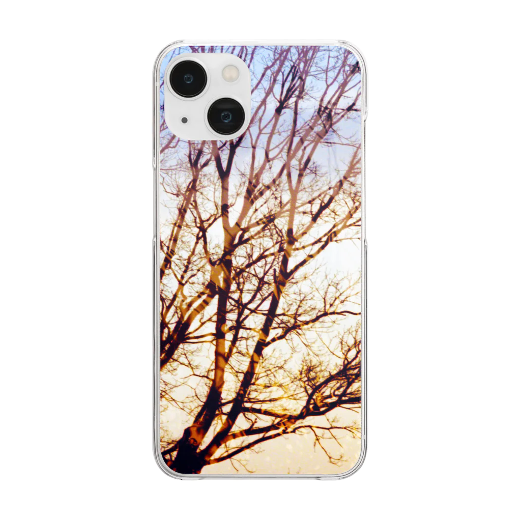 燈火　TomoshiBiの夕日×木影 Clear Smartphone Case