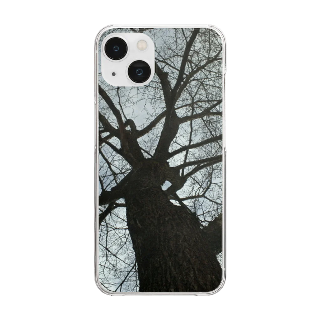 空屋　sorayakusakaの201805051602001　春の樹木 Clear Smartphone Case