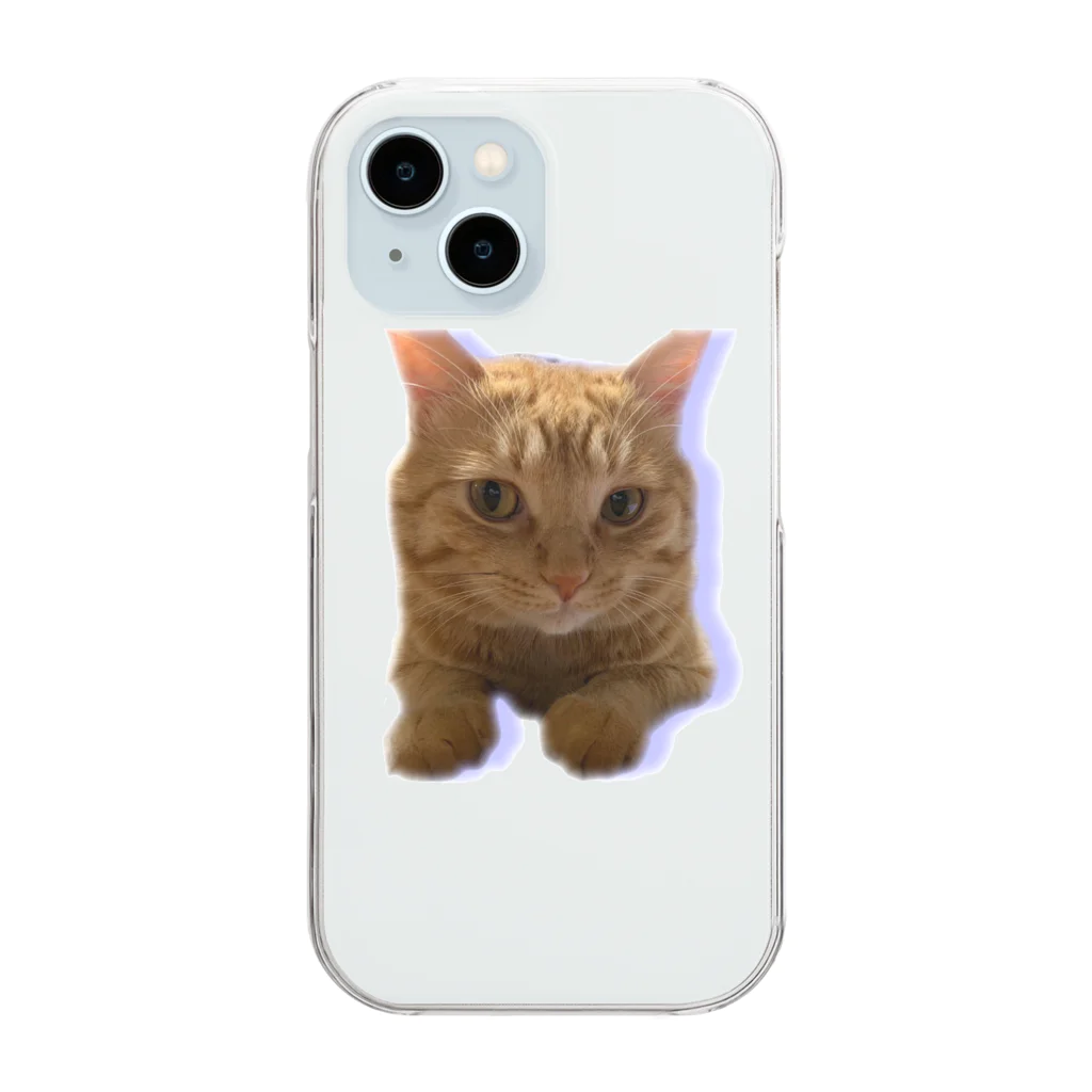 めんけ猫。の我が家の猫くんです。 Clear Smartphone Case