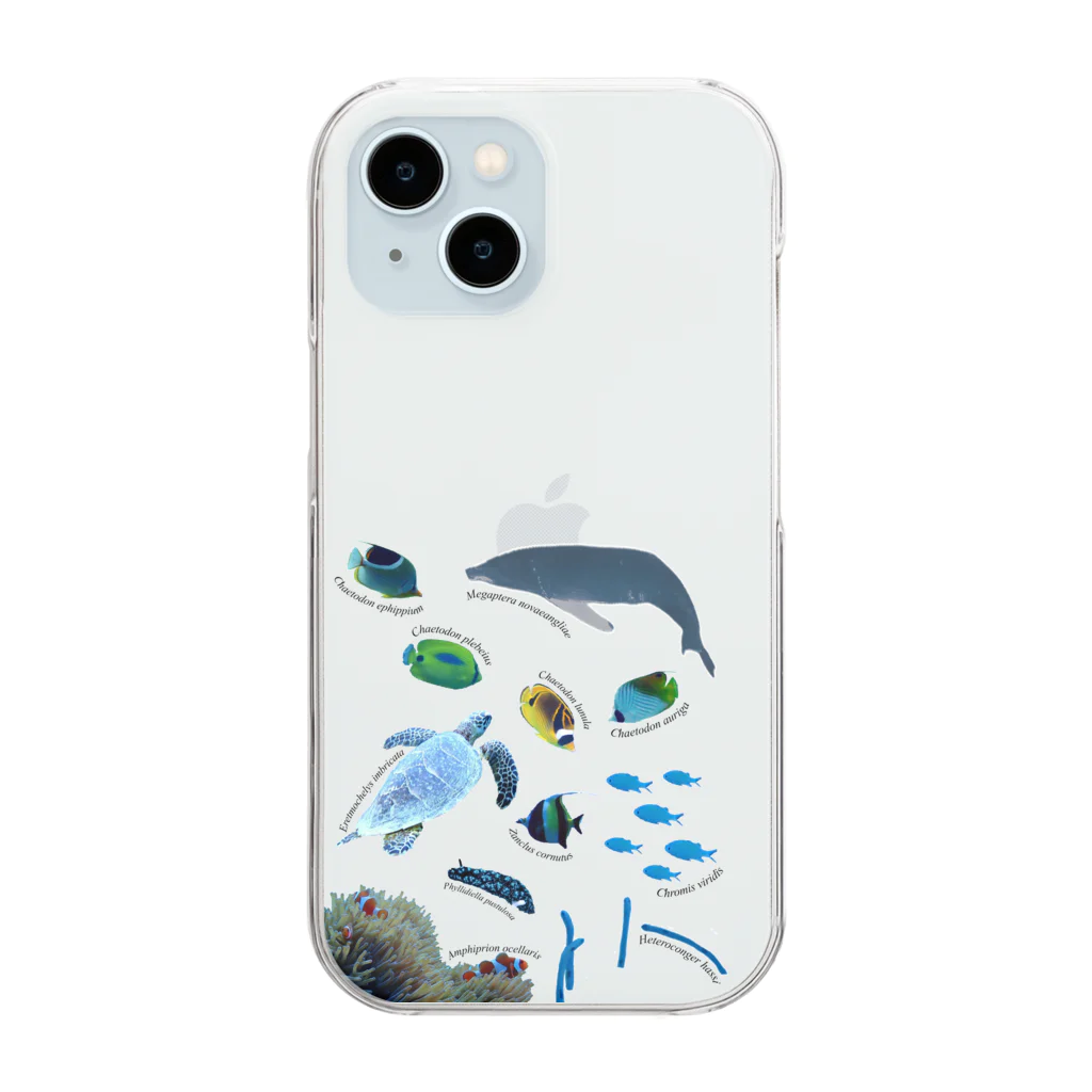 L_arctoaの沖縄の海の生き物 Clear Smartphone Case