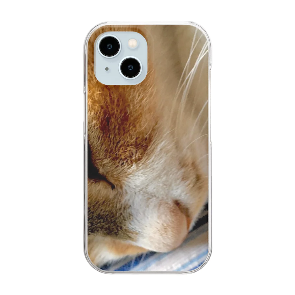 ねこちゃんが大好きなのです。の愛猫れいにゃんのグッズ Clear Smartphone Case