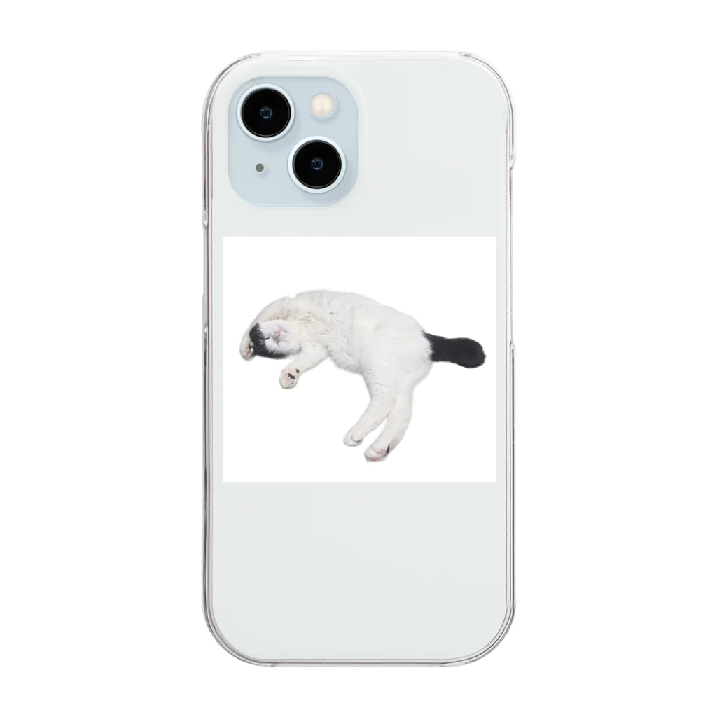 クリスタの尻尾が短い保護猫 たぬちゃん Clear Smartphone Case