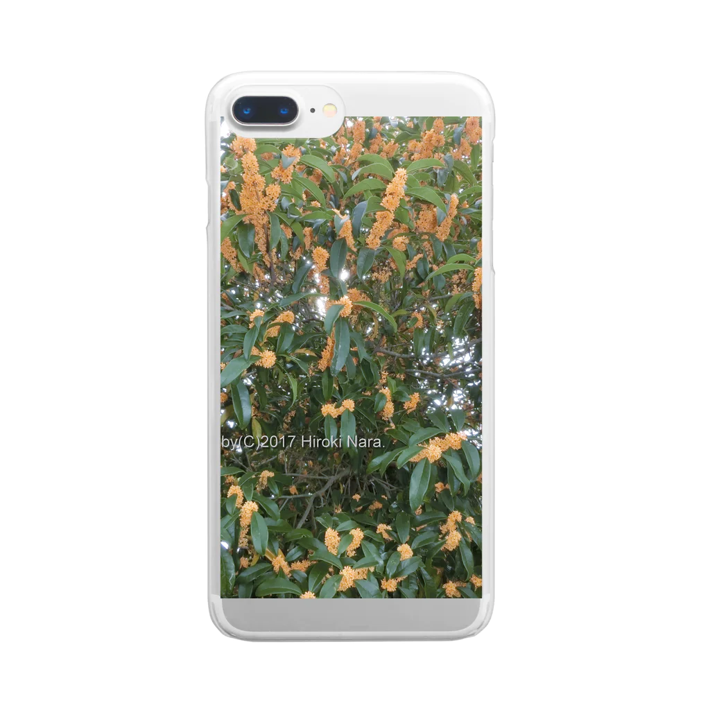 hiroki-naraの光景　sight740　キンモクセイ　金木犀　花 FLOWERS　壁紙 Clear Smartphone Case